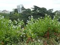 2014-05-08 14-47-49 Buttes-Chaumont YLe